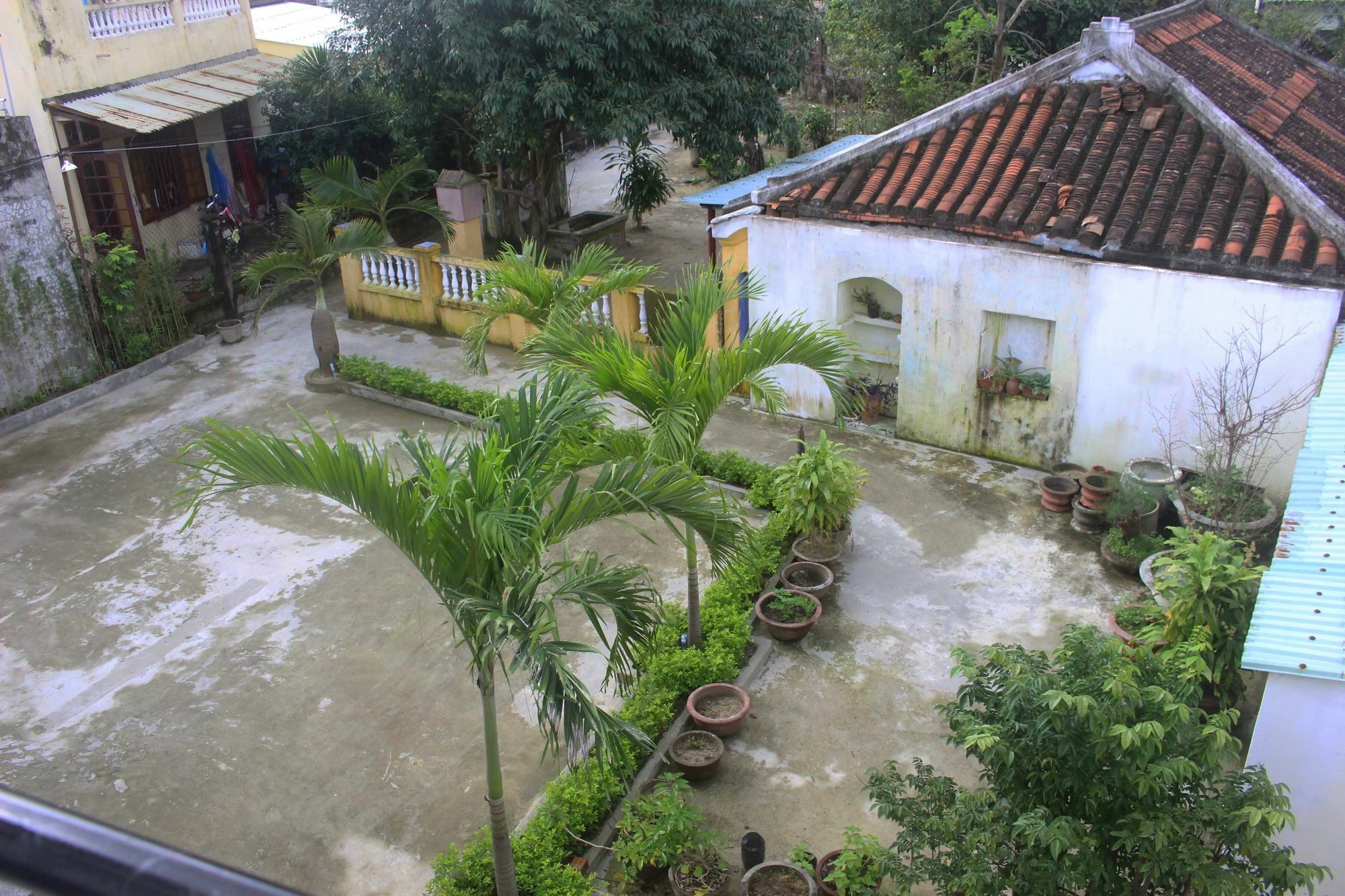 Hoi An Green View Homestay & Villa المظهر الخارجي الصورة