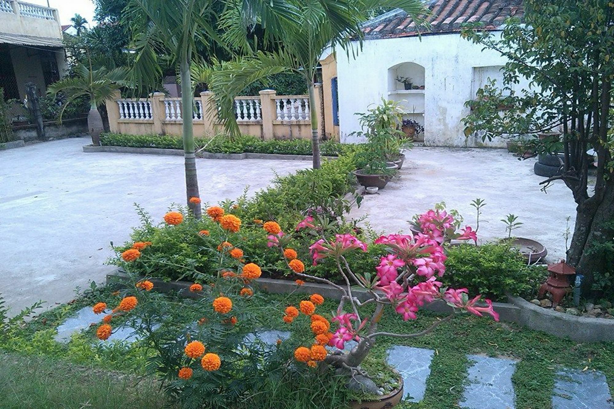 Hoi An Green View Homestay & Villa المظهر الخارجي الصورة