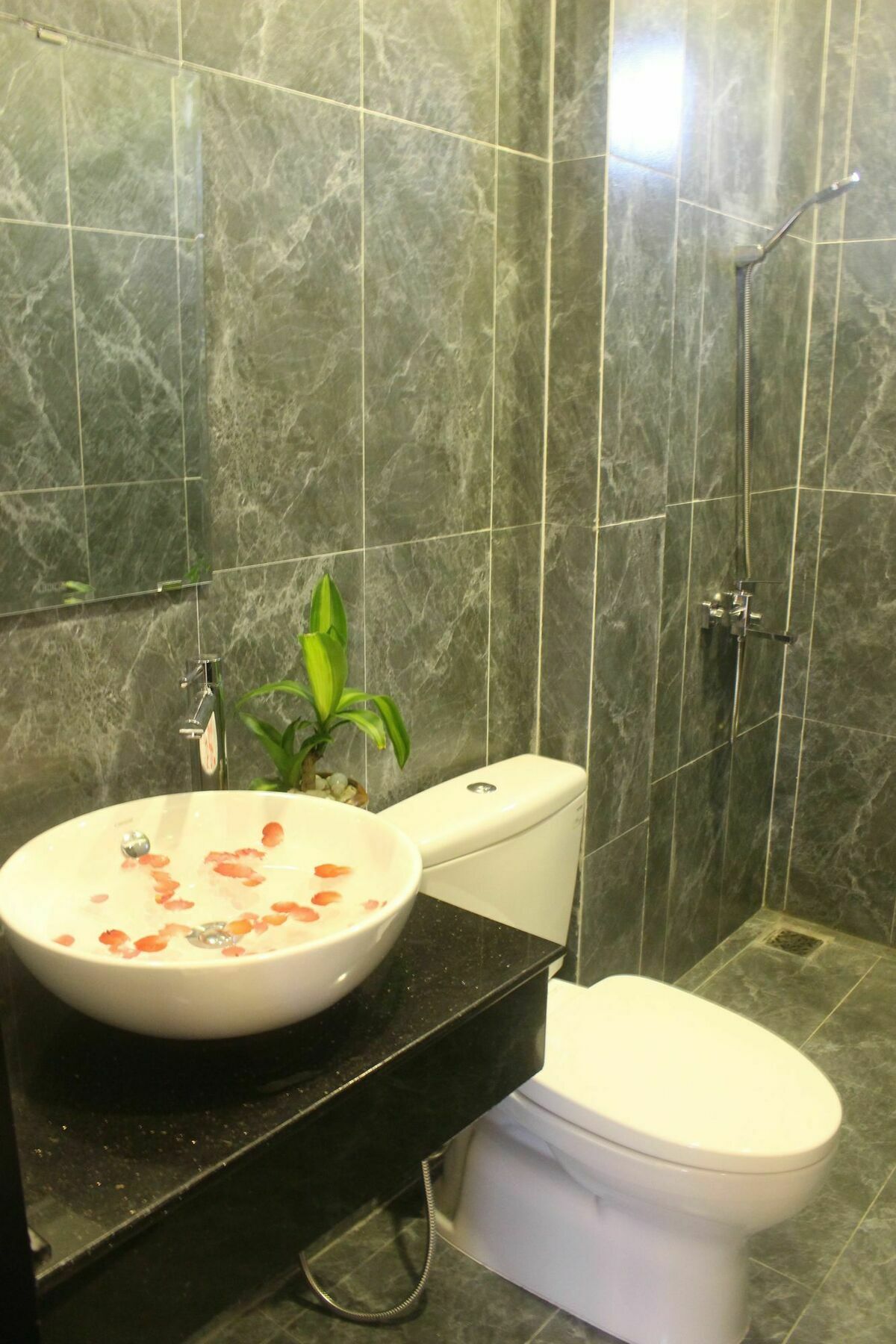 Hoi An Green View Homestay & Villa المظهر الخارجي الصورة