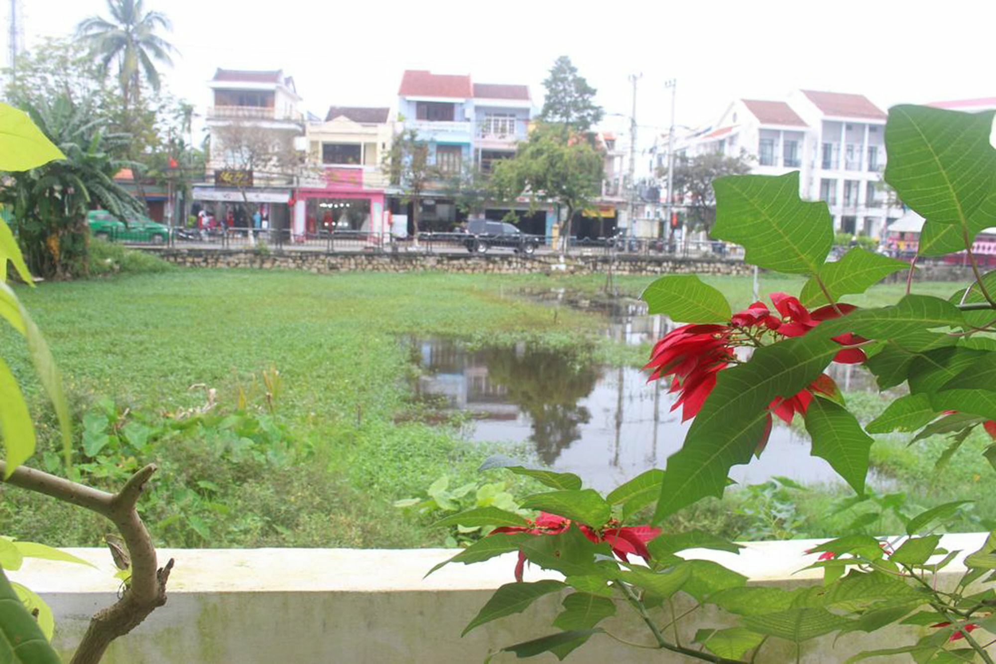 Hoi An Green View Homestay & Villa المظهر الخارجي الصورة