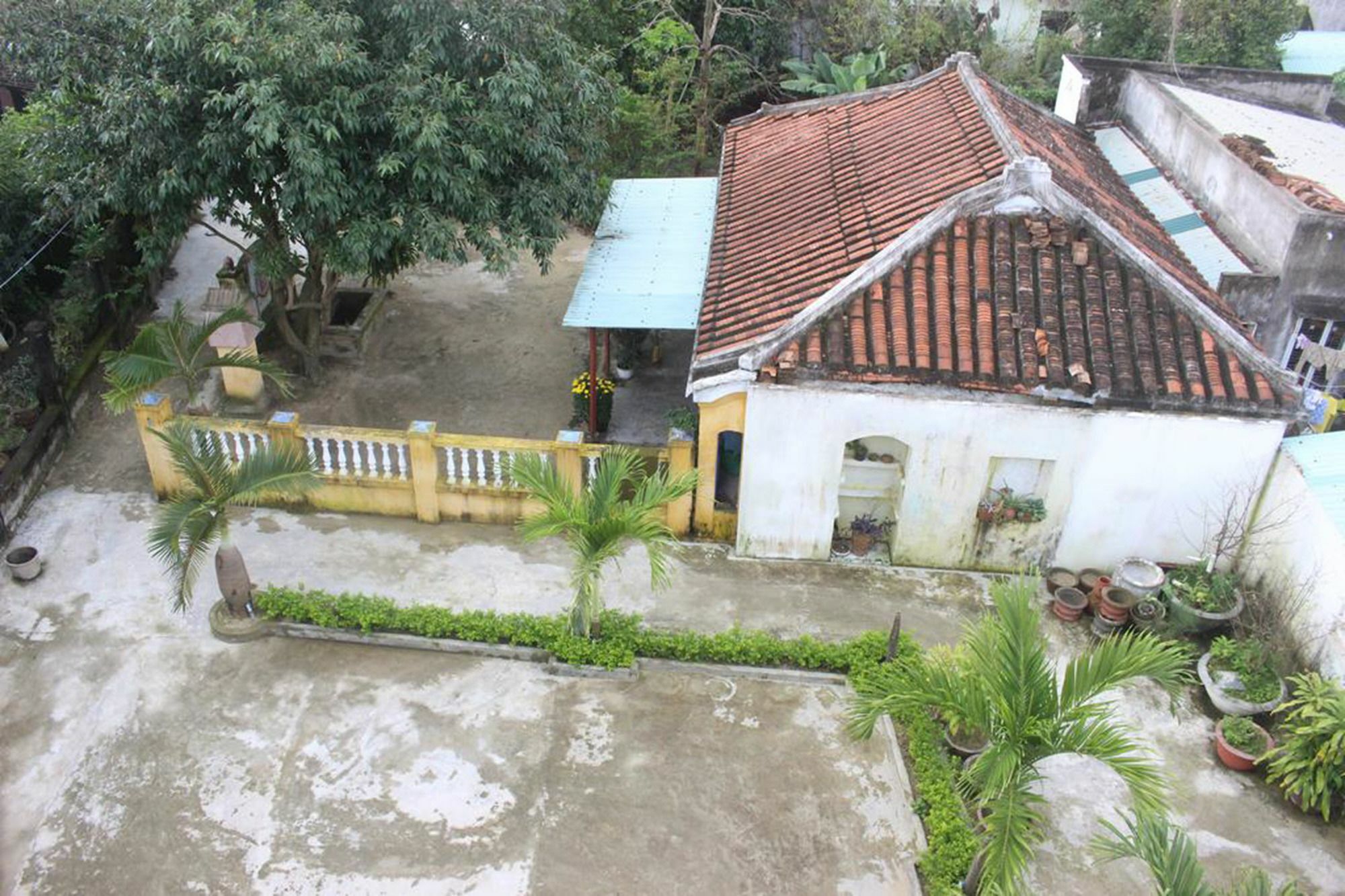 Hoi An Green View Homestay & Villa المظهر الخارجي الصورة